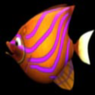 吞食鱼下载-吞食鱼免费版v1.3.8